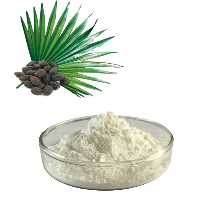 Kas yra „Palmetto“ ekstraktas? Kokia yra „Saw Palmetto Extract“ nauda?